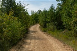 Big White Oak Tract 30