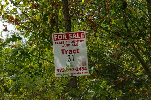 Big White Oak Tract 31