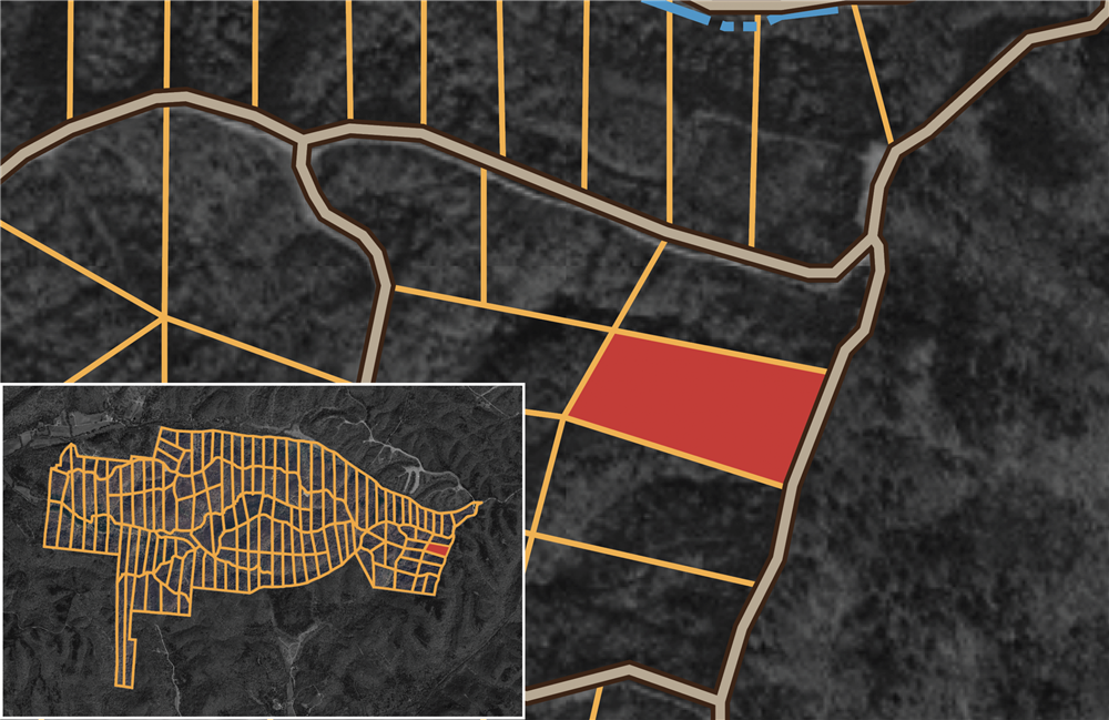 Big White Oak Tract 31 - Primary