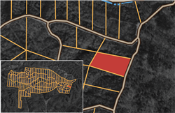 Big White Oak Tract 31