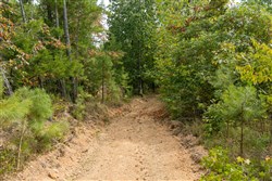 Big White Oak Tract 32