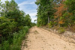 Big White Oak Tract 32