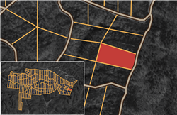 Big White Oak Tract 32