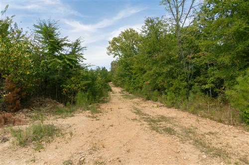 Big White Oak Tract 33