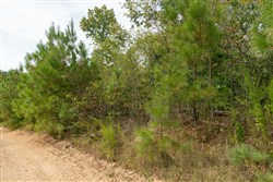 Big White Oak Tract 33