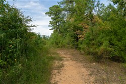 Big White Oak Tract 34