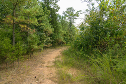 property photo for Big White Oak Tract 34, 6.48 acres for sale in Perry County, Tennessee