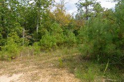 property photo for Big White Oak Tract 34, 6.48 acres for sale in Perry County, Tennessee