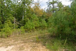 Big White Oak Tract 34