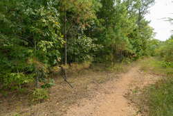 property photo for Big White Oak Tract 34, 6.48 acres for sale in Perry County, Tennessee