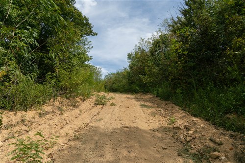 Big White Oak Tract 35