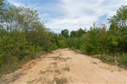 Big White Oak Tract 36