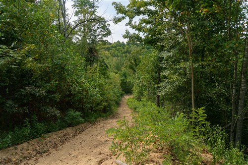 Big White Oak Tract 36