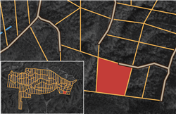 Big White Oak Tract 36