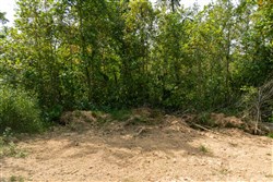 Big White Oak Tract 37