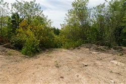 Big White Oak Tract 37