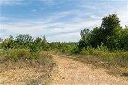 Big White Oak Tract 38