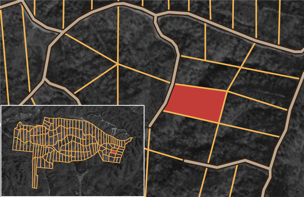 Big White Oak Tract 38 - Primary