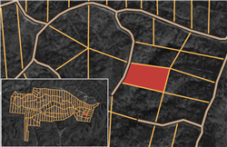 Big White Oak Tract 38