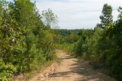 Big White Oak Tract 39