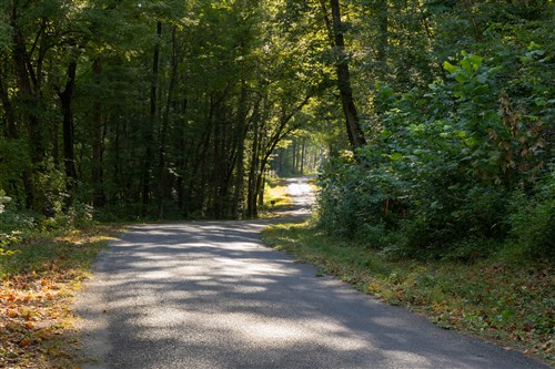 Big White Oak Tract 4