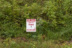 Big White Oak Tract 4