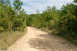 Big White Oak Tract 40