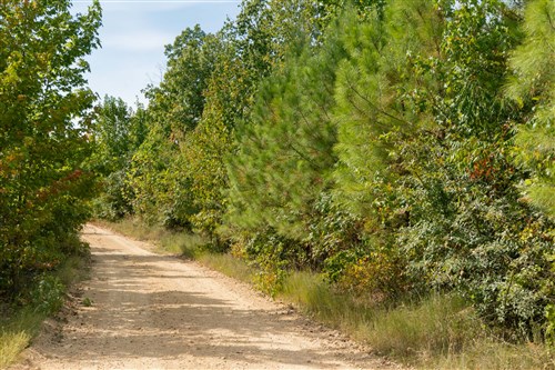Big White Oak Tract 40