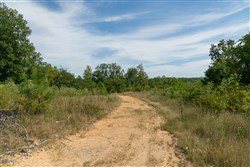 Big White Oak Tract 41