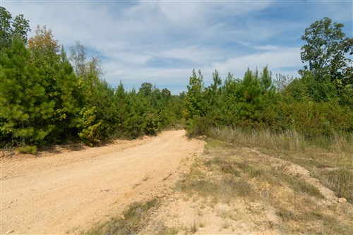 Big White Oak Tract 41