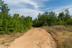 property photo for Big White Oak Tract 42, 10.72 acres for sale in Perry County, Tennessee