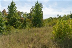 property photo for Big White Oak Tract 42, 10.72 acres for sale in Perry County, Tennessee