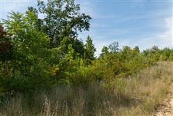 property photo for Big White Oak Tract 42, 10.72 acres for sale in Perry County, Tennessee