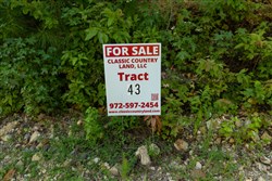 Big White Oak Tract 43