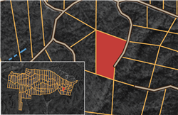 Big White Oak Tract 43