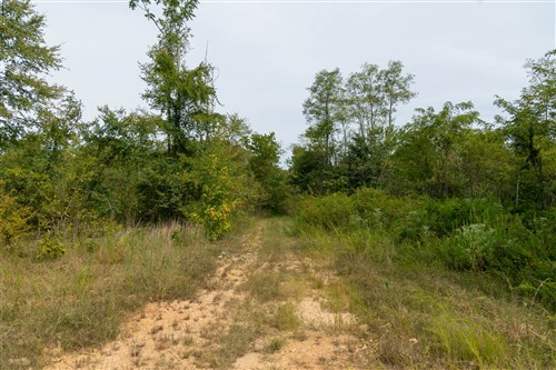 Big White Oak Tract 44