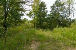 Big White Oak Tract 44