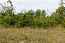 Big White Oak Tract 44
