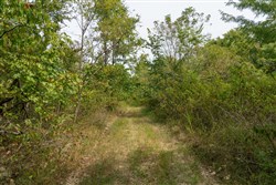 Big White Oak Tract 45
