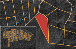 Big White Oak Tract 45