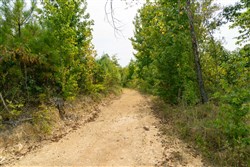 Big White Oak Tract 46