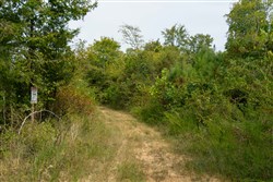 Big White Oak Tract 46
