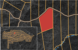 Big White Oak Tract 46
