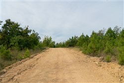 Big White Oak Tract 48