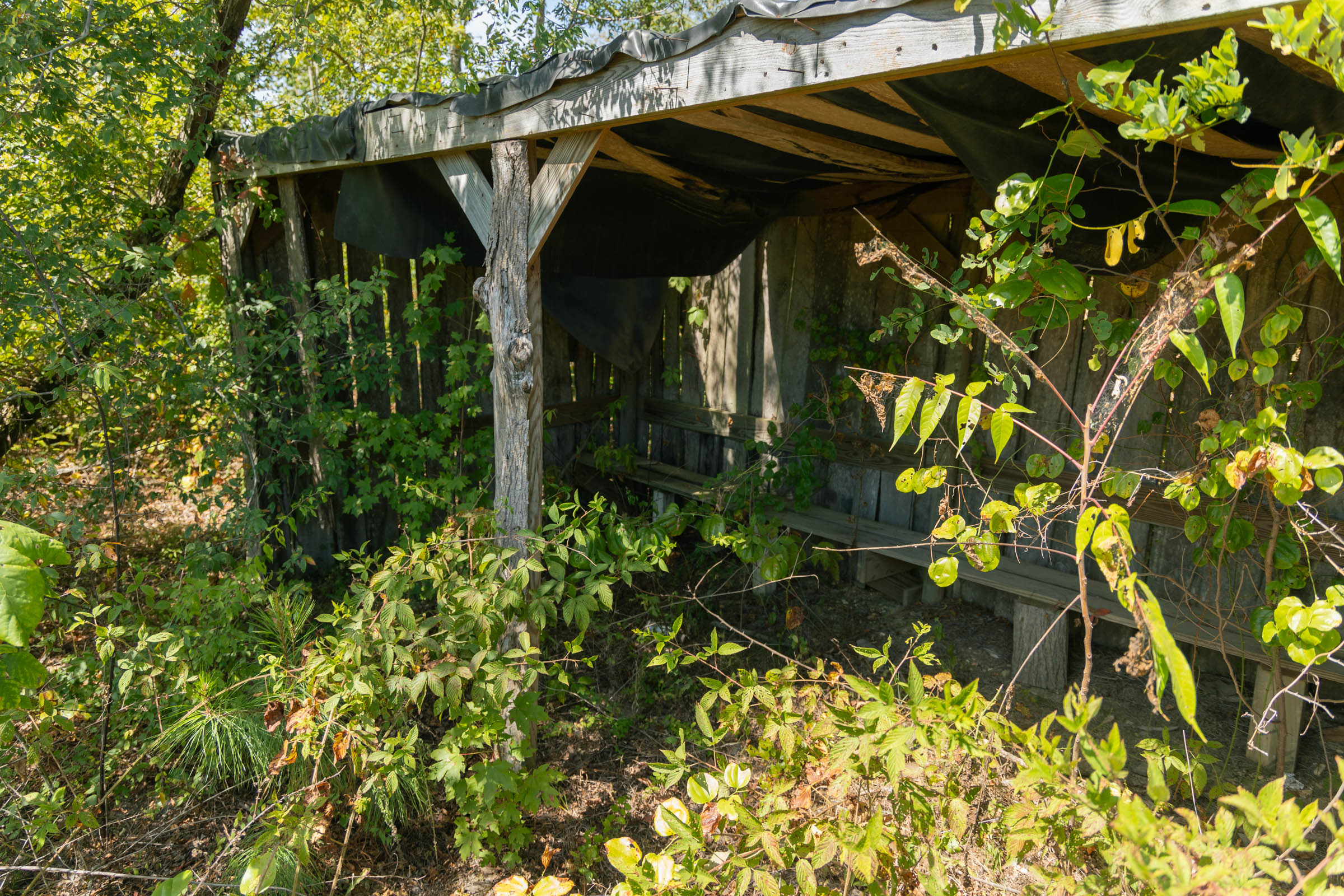 Tract 49 at Big White Oak in Perry County, Tennessee