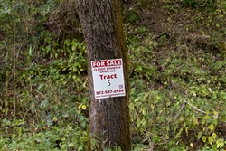 Big White Oak Tract 5