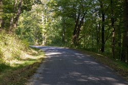 Big White Oak Tract 5
