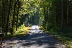 Big White Oak Tract 5