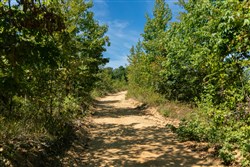 Big White Oak Tract 50
