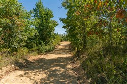 Big White Oak Tract 50